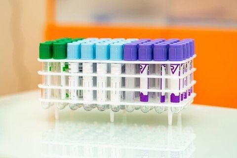 IL-6 ELISA Kits Explained: Principles, Applications & Research Use